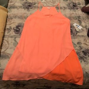 NWT - Gianni Bini “Paisley Sun” Dress